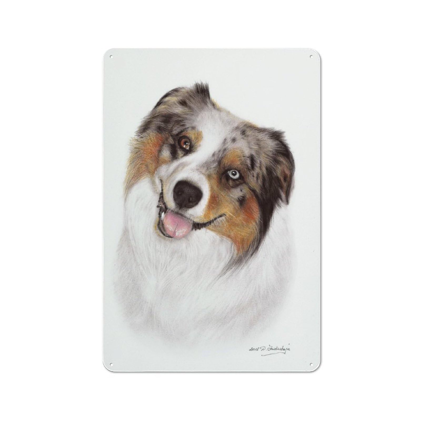 Australian Shepherd Classic Metal Wall Decor 30x20cm, Office Metal Sign for Workspace, Cafe, Shop Or Desk Area