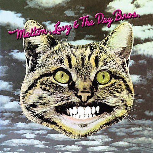 Melton Levy & Dey Brothers