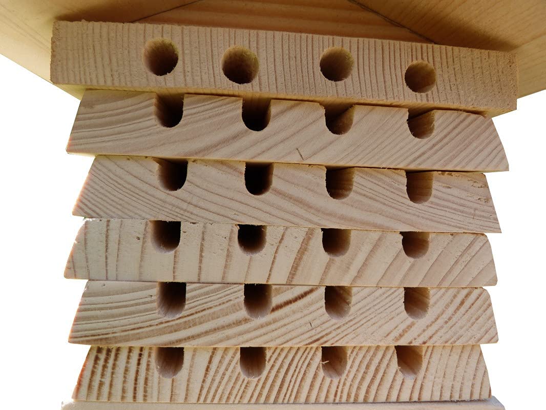Hôtel en bois pour ruche d'abeille interactif