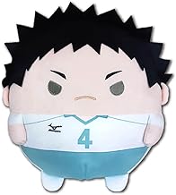 ハイキュー!! ふわコロりんBIG4（再販）D：岩泉 一