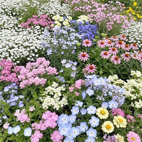 Image of Ferry-Morse Pastel Bulk Wildflower Seeds, 230,000+, 1 lb