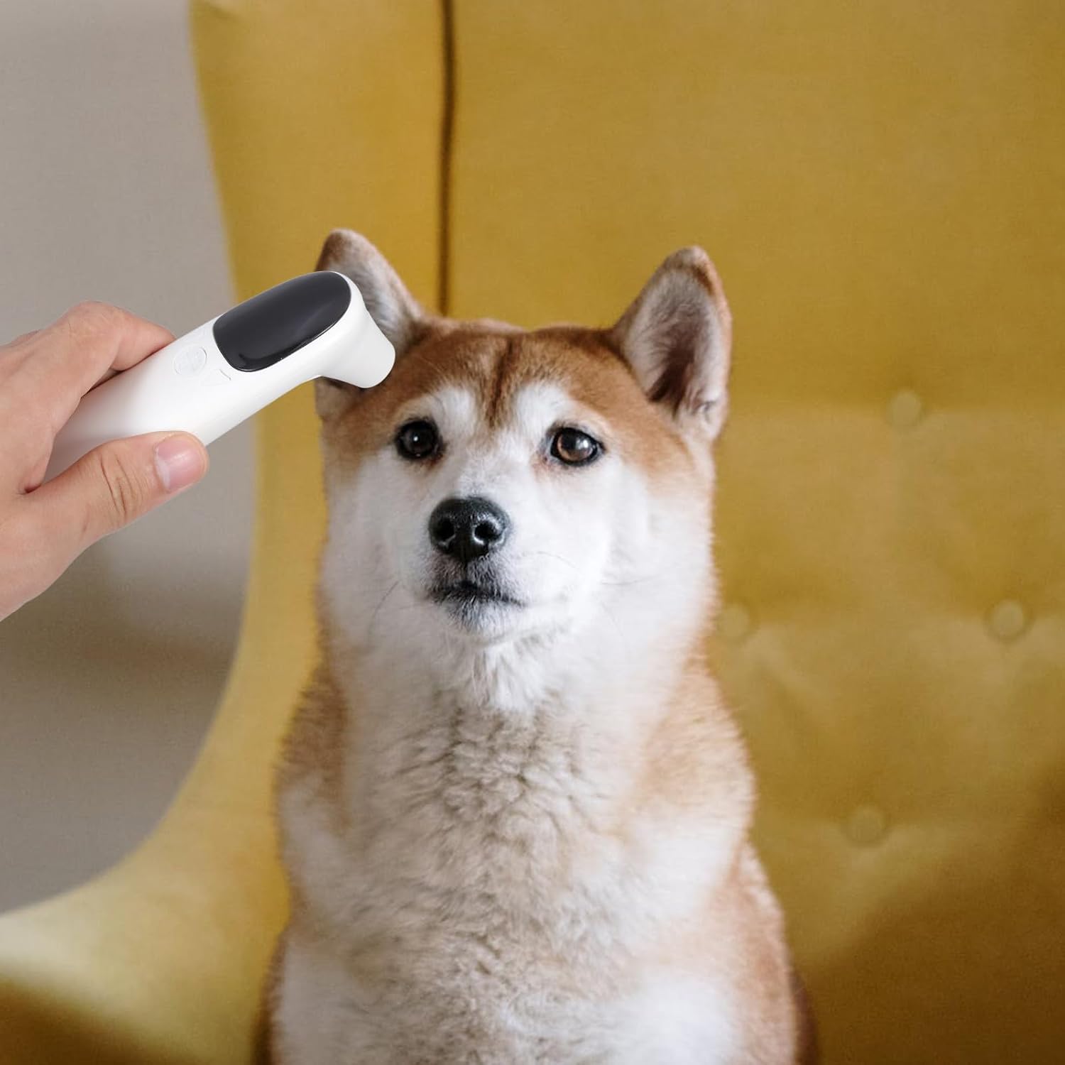 SHOWERORO Rechargeable Lightweight Plastic Electronic Ear Thermometer Pet Thermometer Non-Contact Fast and Accurate Temperature Measurement for Dogs and Cats Home Use