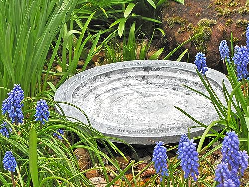 Wildlife World Aristotle Oasis Small Bird Bath & Drinker, Grey - Image 4