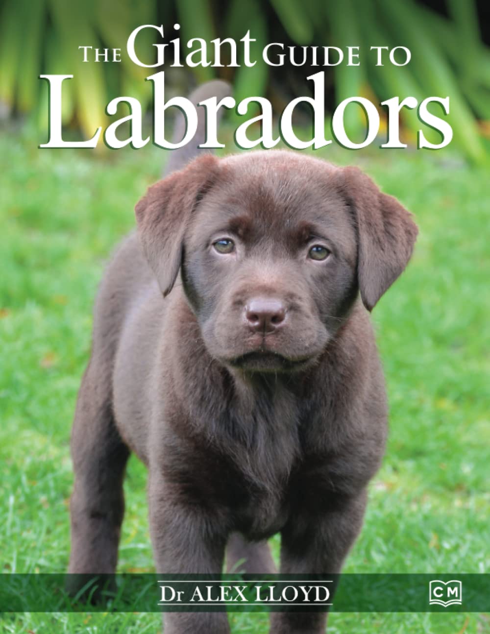 The Giant Guide to Labradors: The Truly Giant Care & Training Manual for Labrador Retrievers (Canine Giant Guides)