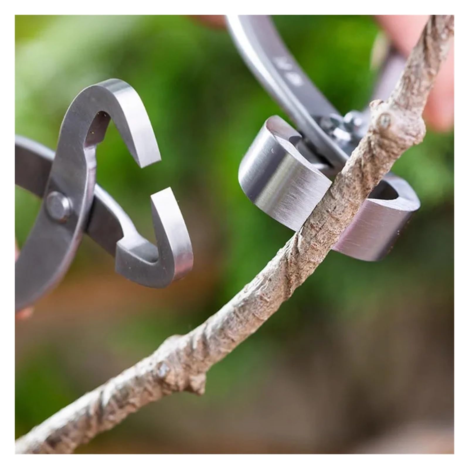 2 pz 210mm In Acciaio Inox Set di Attrezzi Bonsai Kit Da Giardino Pomello Taglierina Ramo Cesoie Tronco Splitter Forbici(Set D)
