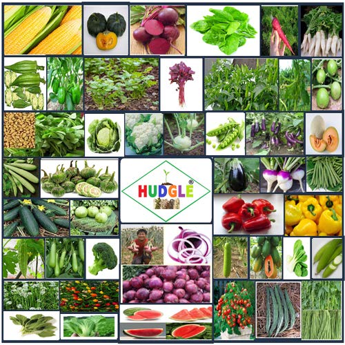 All Season Combo Pack Of 45 Vegetable 2200+ Seeds For Terrace And Kitchen Gardening, Instruction Manual Inside [By- Hudgle Vegitable Seeds]