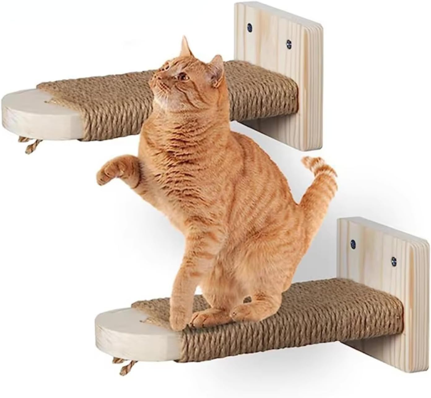 Amazon.co.jp: 猫 ケージ用ステップ 階段 木製ステップ 猫用