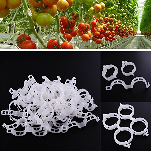 Sedeta 500PCS Gemüsegarten-Anlage Spalier-Klipp für kletternde Anlagen, Reben, Stämme, Tomate Unterstützung Arbeitet mit Bambuspfosten, Grünpflanzen Käfig, Garten-Spalier