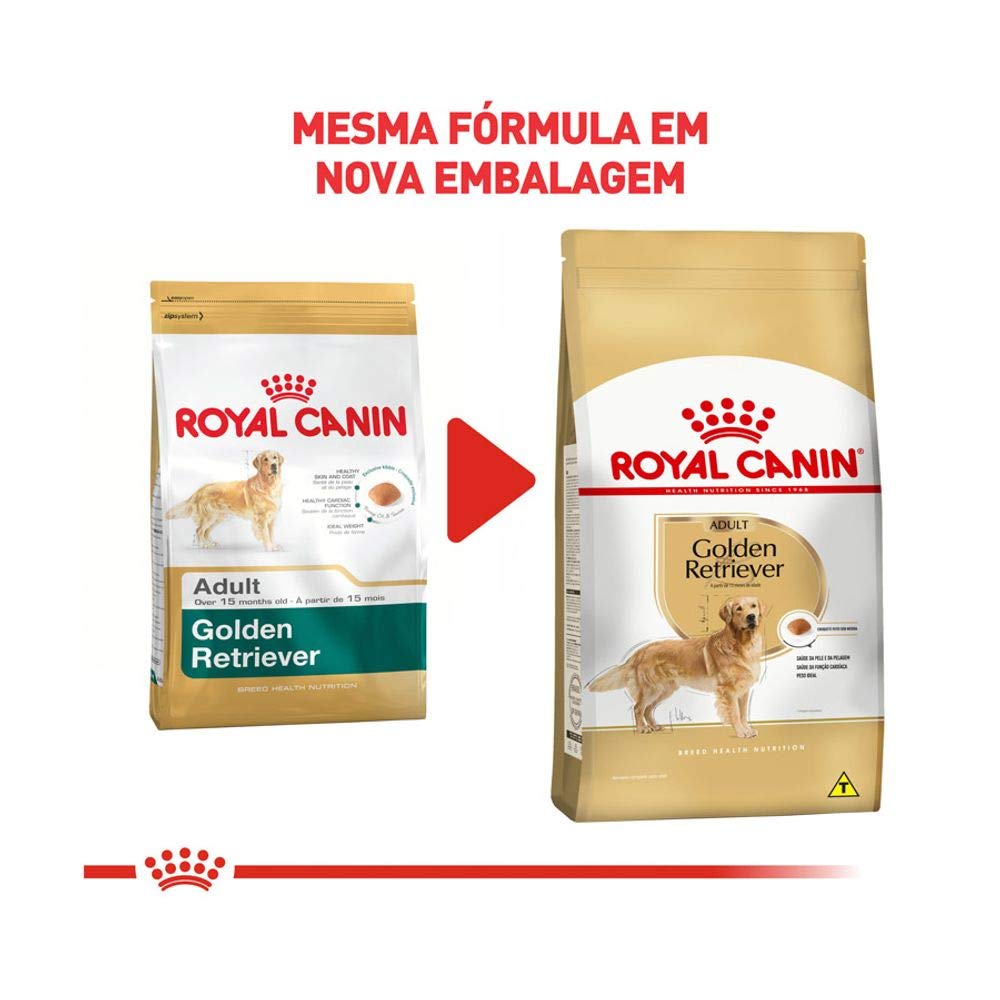 ドッグフード  CANIN Golden Retriever 12kg ROYAL CANIN Ração Royal Canin Golden Retriever Cães Adultos