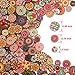500 Pieces Flower Wood Buttons 2 Holes Round Buttons Vintage Sewing Buttons for Sewing DIY Craft Decorations
