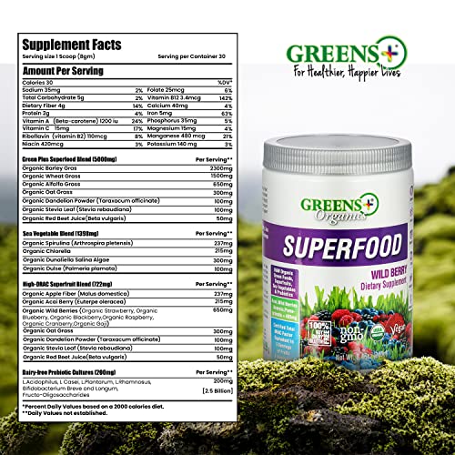 Greens+ Organic Wild Berry Superfood Powder, Antioxidant Polyphenol, Blend for Morning Kick, Energy, Vitality Boost, Nutrition, Vibrant Health, Dietary Supplement, Vegan Soy/Dairy/Gluten Free(8.46oz) - Image 6