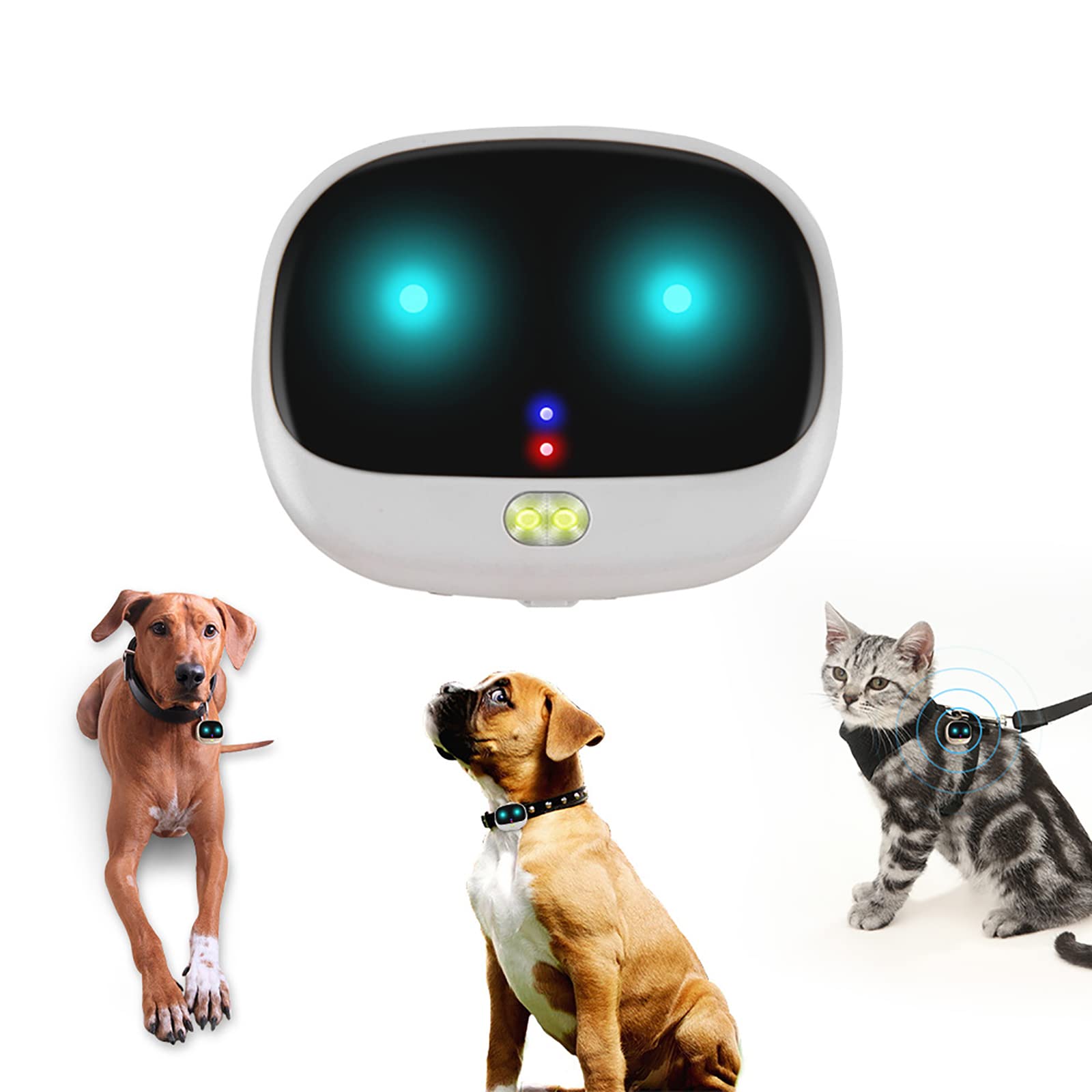 Localizzatore GPS per Animali Domestici, Localizzatore di Collare Intelligente Anti-smarrimento per Cani da Compagnia, Riproduzione della Traccia, Impostazione della Portata