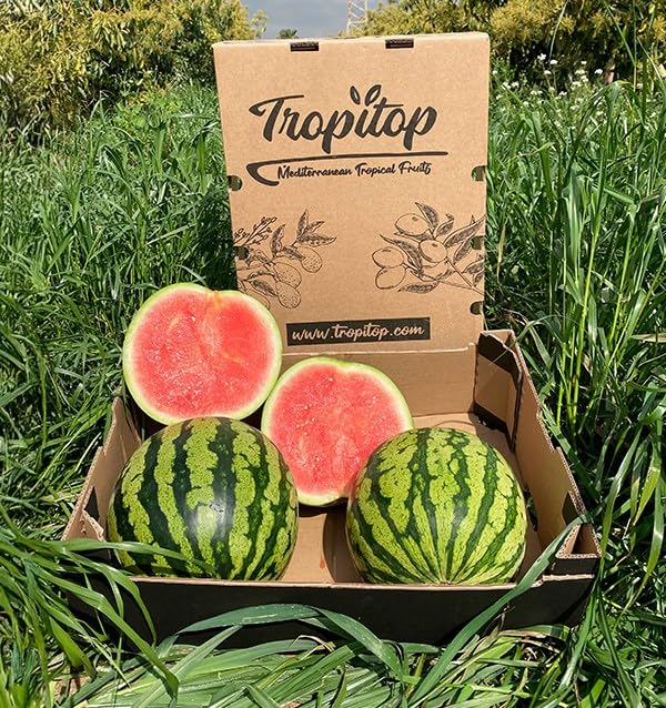 Caja de Sandías | 2 o 3 unidades. Aprox 5kg cada pieza. Fruta entera, dulce, cultivo sostenible en Castellón (España), directo del agricultor (2 Unidades)