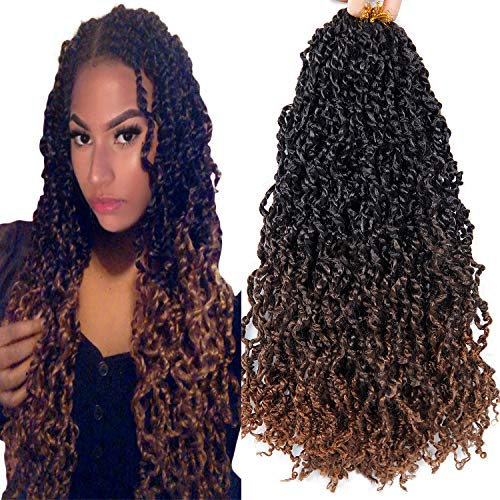 Pre-twisted Passion Twist Crochet Hair 18 Inch 6Packs Pre-looped Passion Twist Crochet Braids Long Bohemian Hair Synthetic Braiding Hair Extensions 120strands (4/30, 18inch)