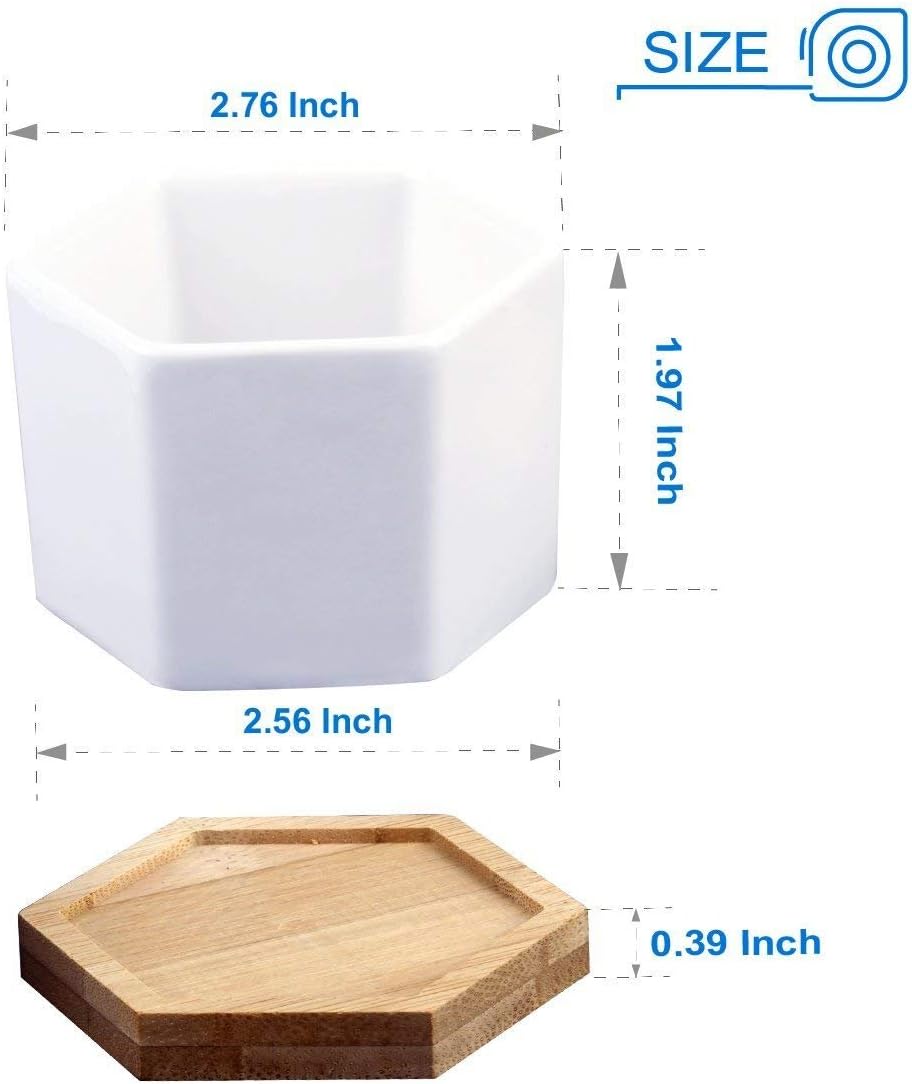 6 Pack Succulent Plant Pots - OAMCEG 2.75 inch Mini Succulent Planter, Set of 6 White Ceramic Succulent Cactus Planter Pots with Bamboo Tray (Plants NOT Included)