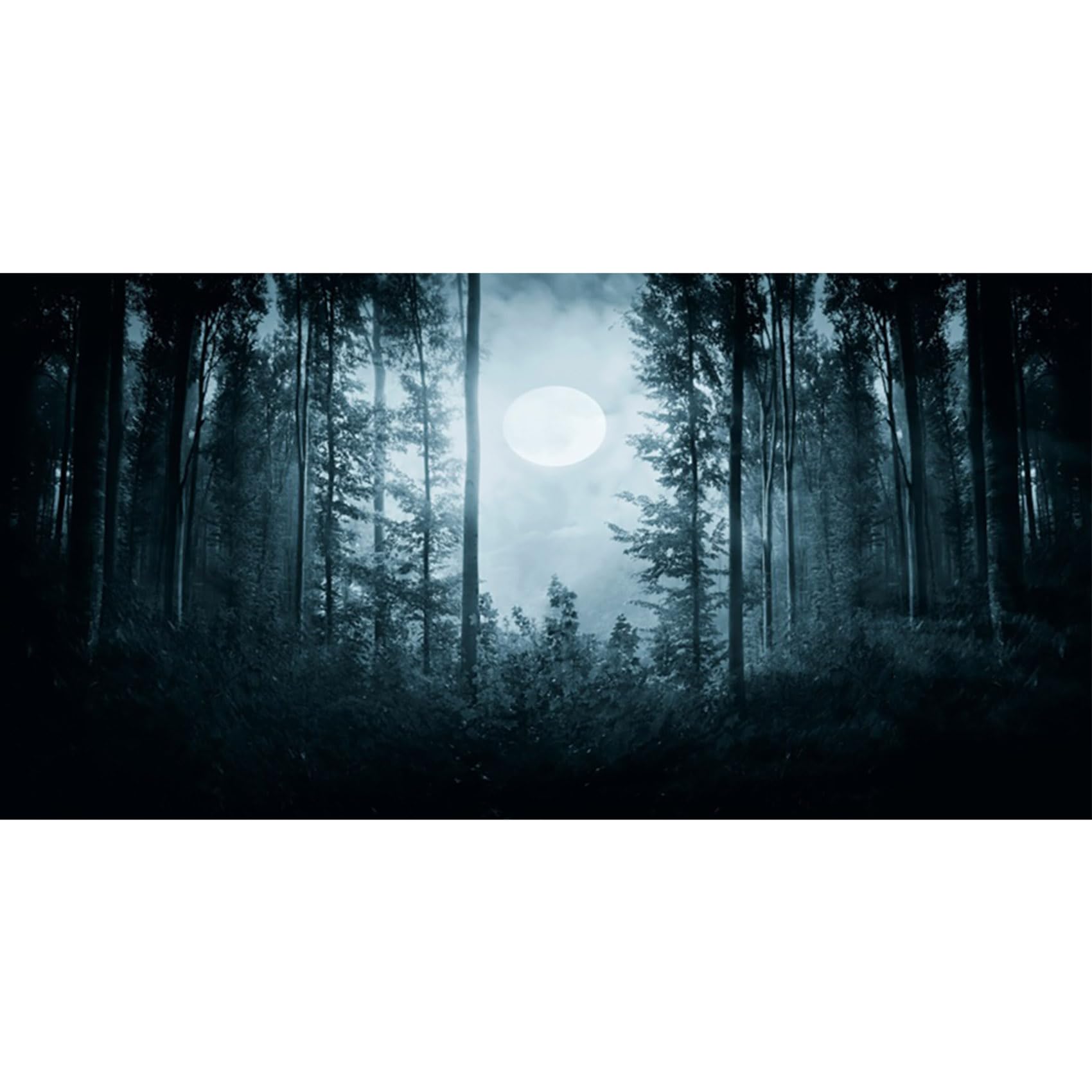MIRRORANG 61x30cm Dark Scary Aquarium Background Forest Moon Horror Night Scenery Vinyl Durable Night Fish Tank Background