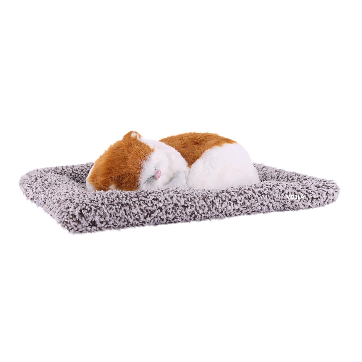 Voila Sleeping Cute Cat for Car Dashboard and Home Decor with Activated Carbon for Decoration Toy Golden and White