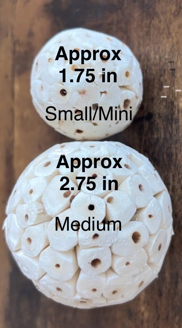 Sola Wood Bird Toy Bundle - Sola Balls & Sola Logs, Shreddable Chew Toys, Foot Toys, for Medium Birds, 10 Piece Set - image 3