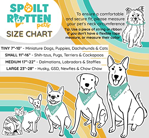 Spoilt Rotten Pets S2 Personalised Blue It's My Birthday Dog Bandana Party Dress Up Dog Costume Gift - Image 6