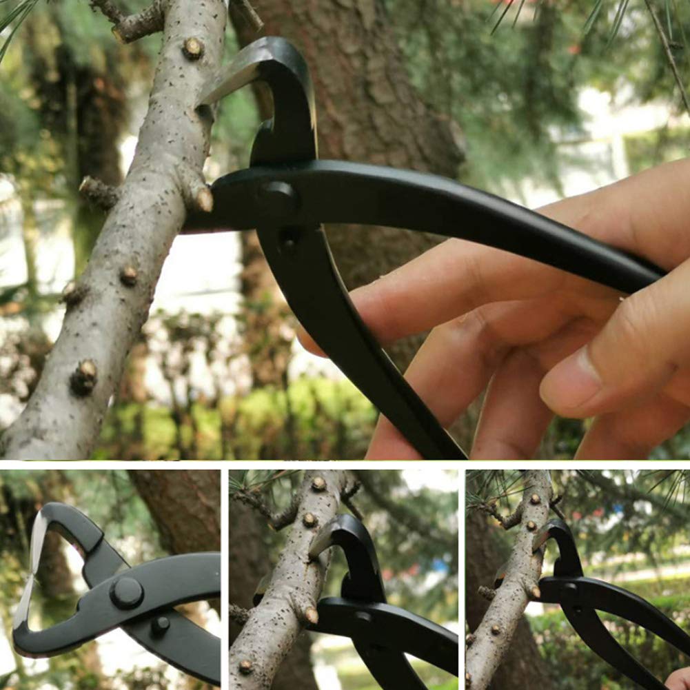 Set di Attrezzi per Bonsai, Kit di Taglio da Giardino, Acciaio Inossidabile di Alta qualità per Frutteto