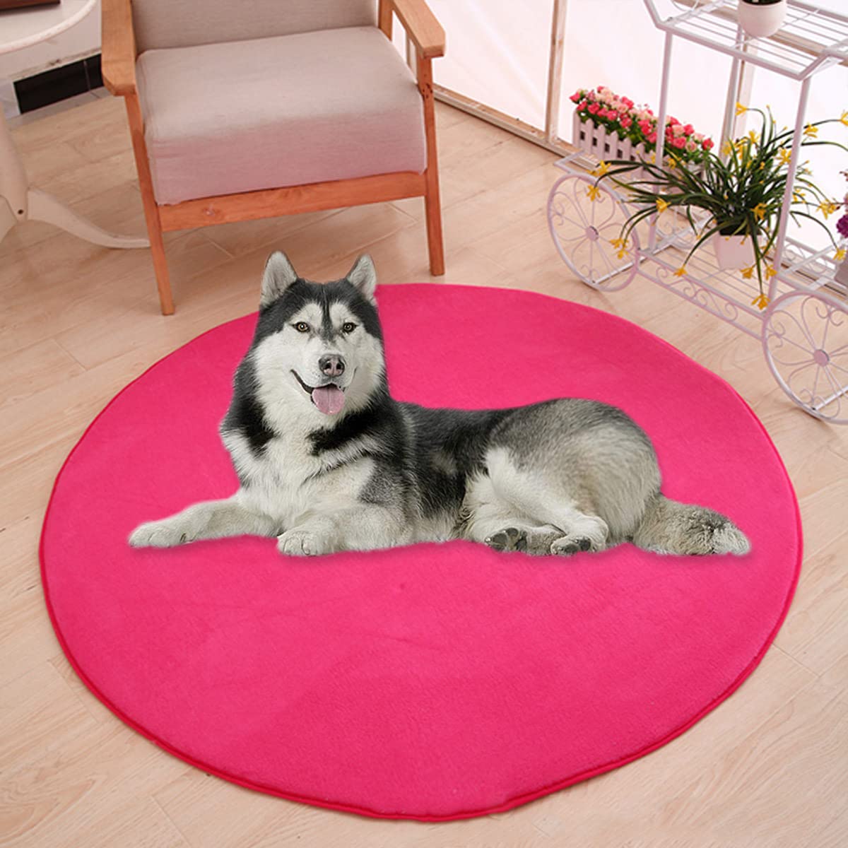 Waigg Kii Large Dog Bed Mat,Coral Velvet Soft Round Carpet Area Rug Pet Mat,Anti-Anxiety Dog Mattress for Small Medium Large Cats Dogs (100CM,Rose red)