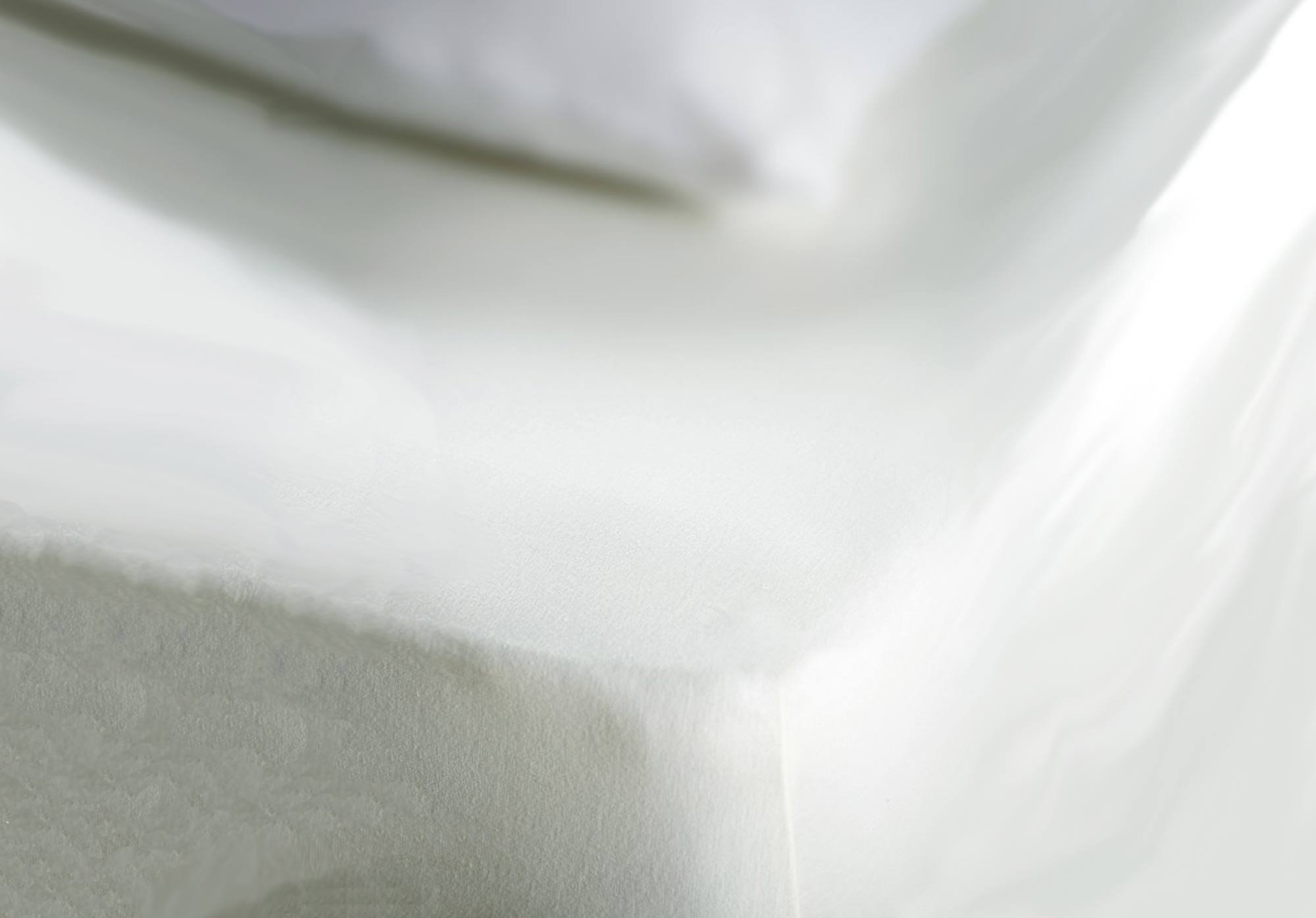 Belledorm Jersey Cotton Deep Fitted Sheet (Kingsize) (White)