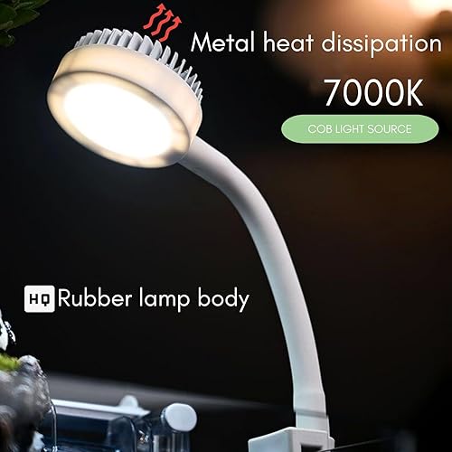 Miniatura 3 de Kit de iniciación para pecera, tanque de vidrio para acuario de 1.2 galones, LWH  6.3 x 6.3 x 8.6 pulgadas, filtro Slient de 60 GPH y lámpara LED de