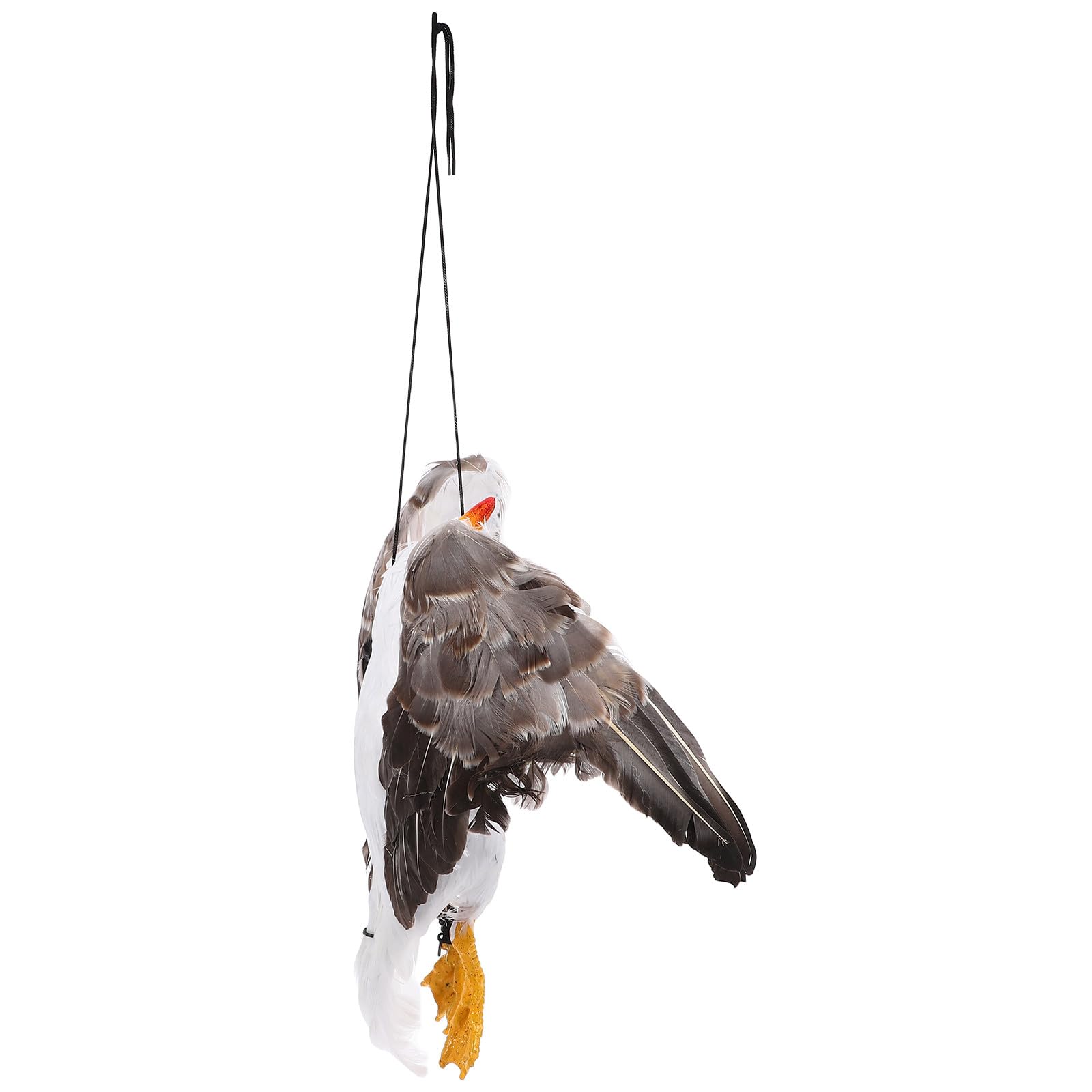 Fausse mouette morte anti-oiseaux pour effrayer pigeons de terrasse et jardin 46x14cm