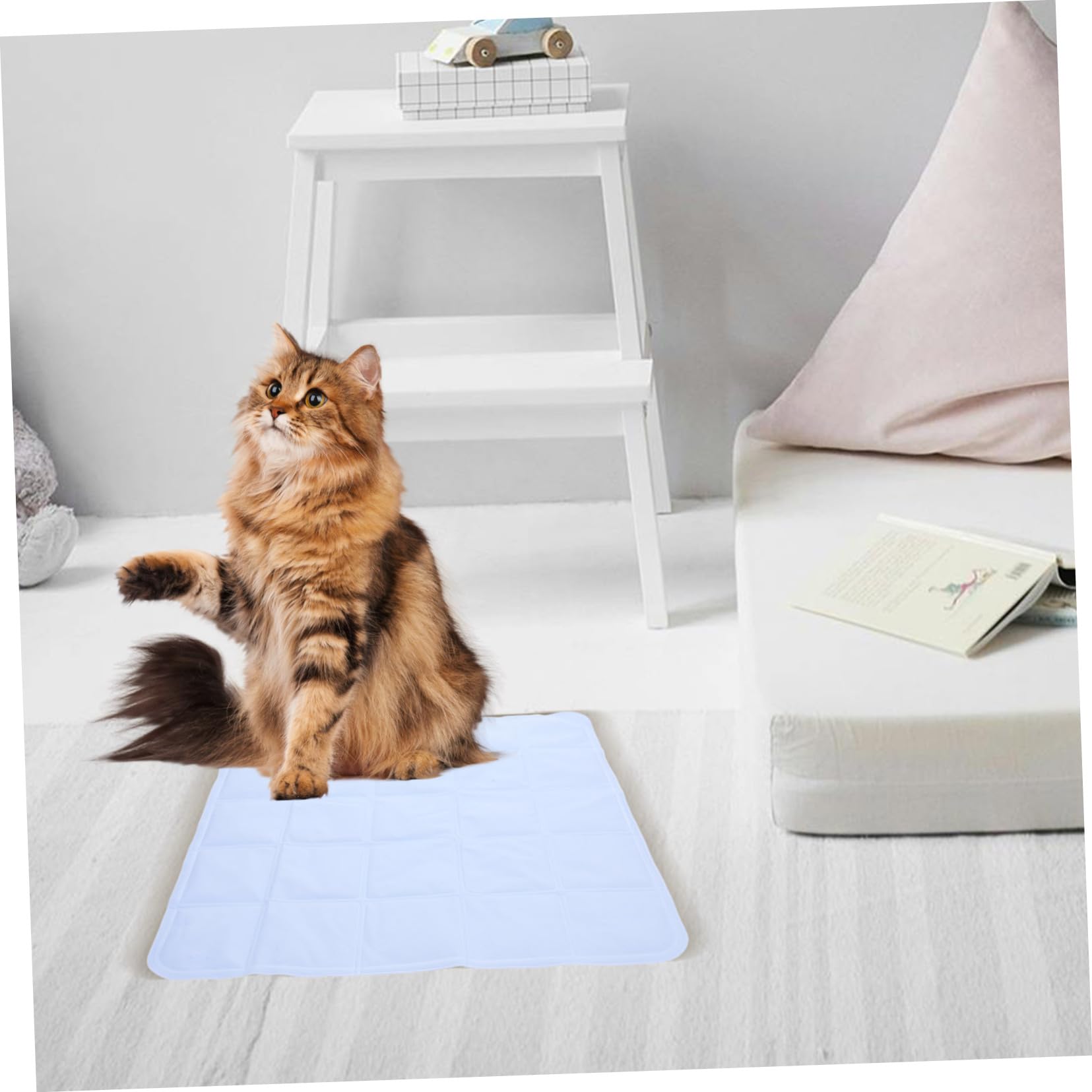 Tappetino Rinfrescante per Cane Autorefrescante Pvc Leggero | Festa Estiva, per Gatto e Cane, Facile da Spostare, Pratico e Confortevole, Uso in Estate e Caldo