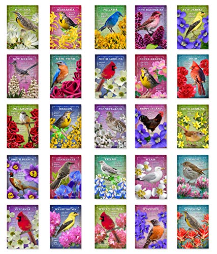 US STATE BIRDS AND FLOWERS Set of 50 postcards. United States bird and flower symbols post cards variety pack. Made in USA.