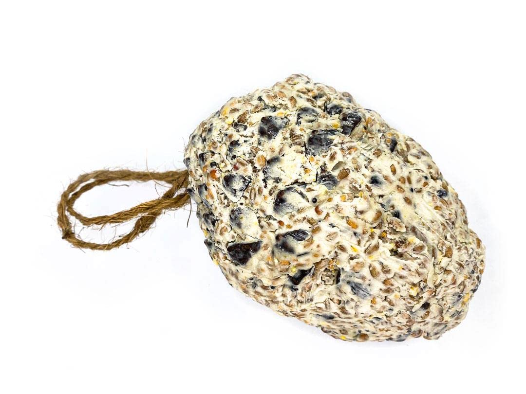 Chubby Wild Bird Food Suet & Seed Hanging Pine Cone