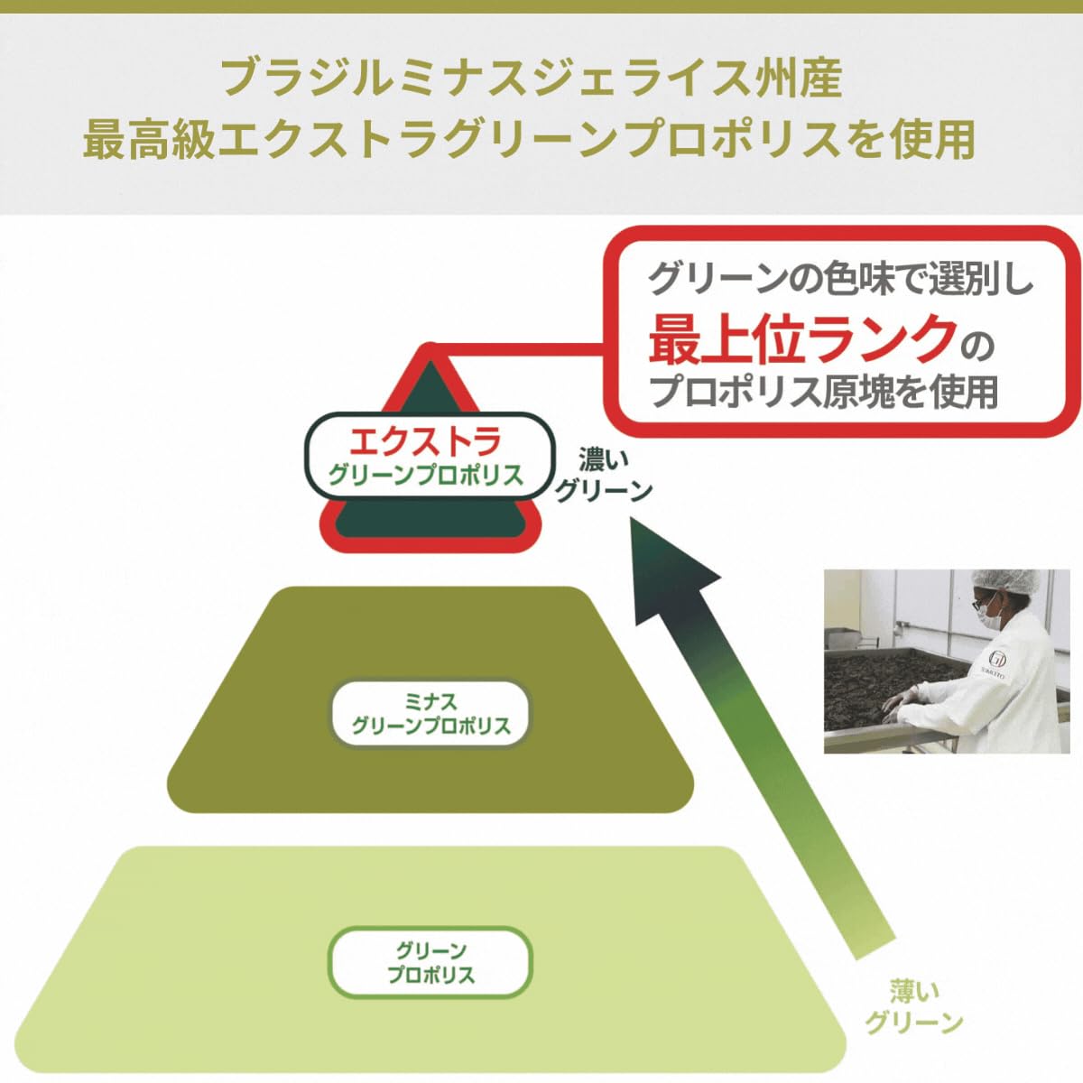 銀座プロポリス　180粒 × 2個 (90日分 ２個) Amazon | 銀座プロポリス 90日分 サプリ サプリメント ブラジル産