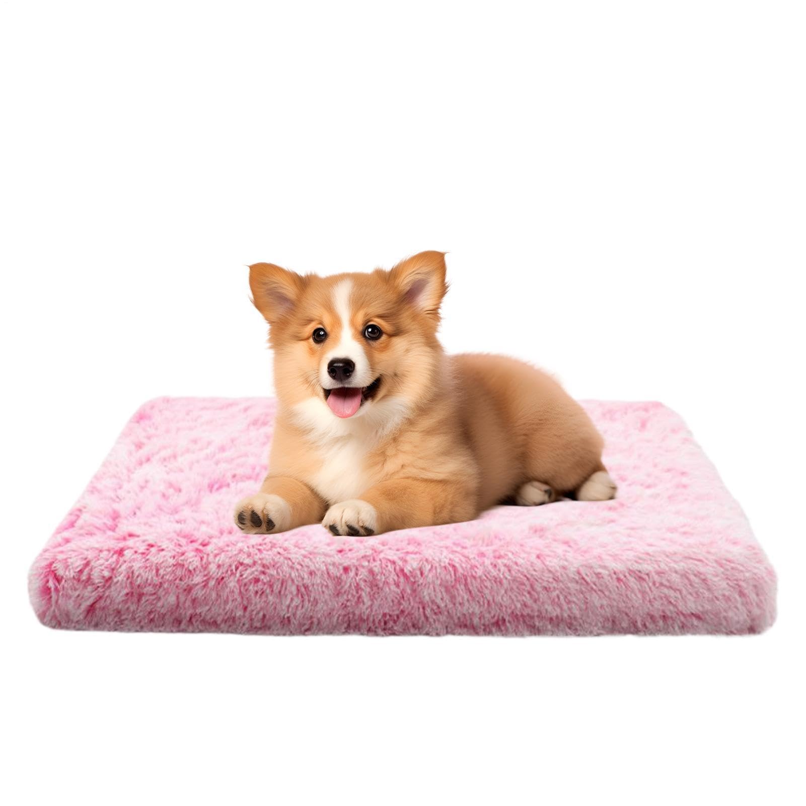 Tapis Chauffant Pour Chats Tapis Portable | Coussins Électriques pour Chiens Pour Le Confort , Par Temps Froid, À L'Intérieur De La Maison, Pour Le Repos Et Le Sommeil