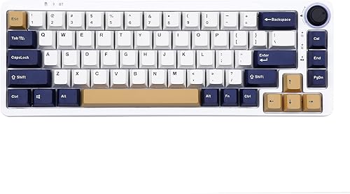 EPOMAKER Rudy Juego de teclas completas de 135 teclas de perfil OEM de doble disparo PBT para teclado mecánico, compatible con interruptores