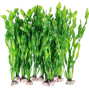 Wasserpflanzen für Aquarien 10 Stück Aquarium Pflanzen Künstlich Aquarium Pflanzen Ornament Aquarium Pflanze Fisch Tank Dekoration Künstliche Aquarium Deko Pflanzen Für Aquarien Alle Fische Sicher