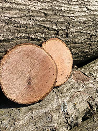 KJR Holzmanufaktur 10 Baumscheiben, Holzscheiben,Baumscheibe, ca. 15 cm, Astscheiben, Roteiche, Eiche Cover