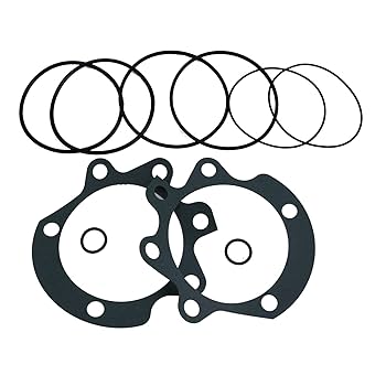 Amazon.com: WQSING 29558329 29548988 6” Transmission Filter