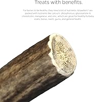 Vista 7 de Pet Parents Gnawtlers - Cuernos de alce prémium para perros, cuernos de alce de desprendimiento natural para perros regiones del corazón