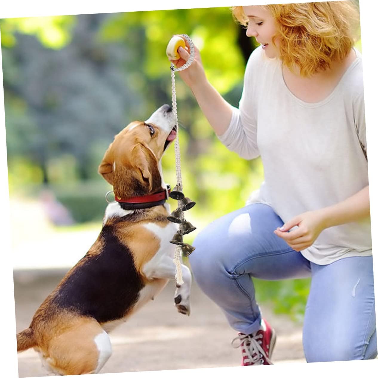 Levemolo 2pcs Dog Training Bell Chain Puppy Potty Training Professional Pet Doorbell