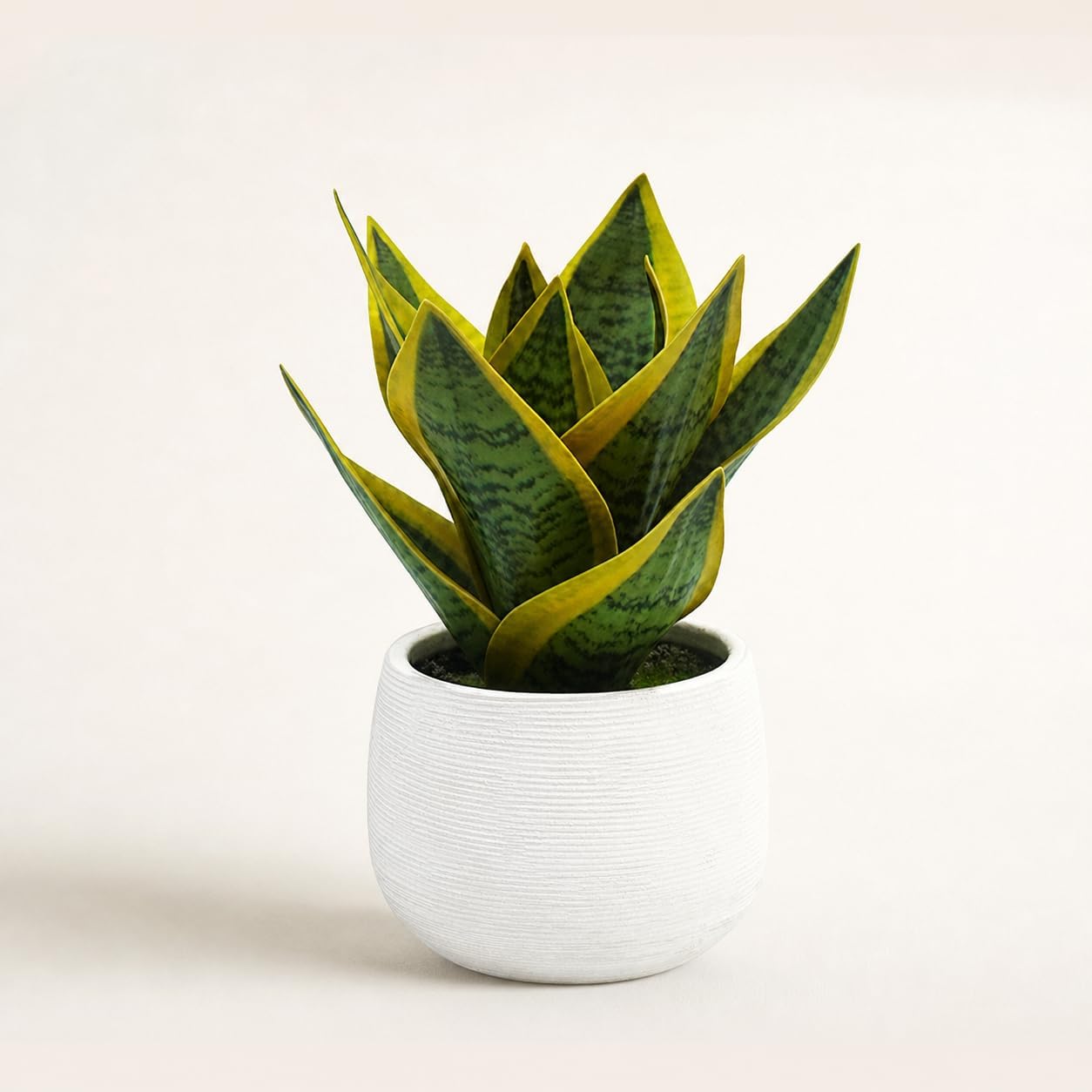 8" Fake Snake Plant & Faux Agave in White Ceramic Pot | Pet-Friendly Low-Light Sansevieria Greenery, Real Touch Small Fake Plant for Home Office Desk, Bookshelf, Bathroom Decor