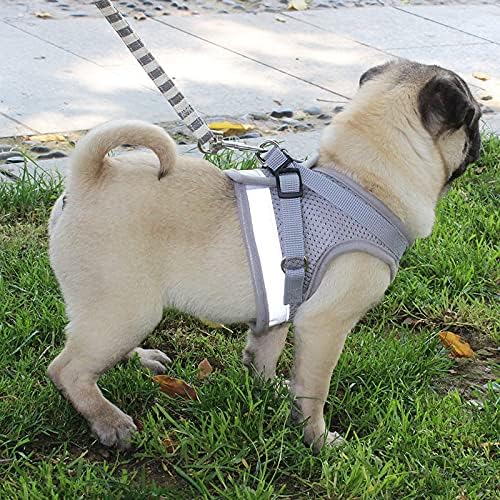 Hesheng Step-In Air Dog Harness Lead Set Reflective Breathable Soft Air Mesh Adjustable No Pull Choke Free Over Head Vest with Leash for Puppy Small Medium Dogs(L - Image 4