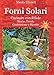 Forni Solari: Cucinare con il Sole, Storia, Teoria, Costruzione e Ricette