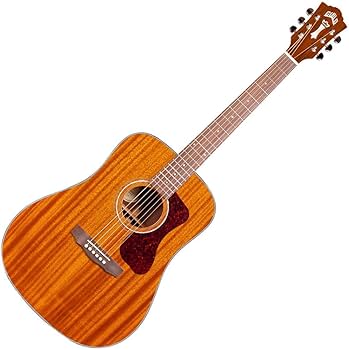 Amazon | Guild Guitars Guild D-120 NAT Dreadnought