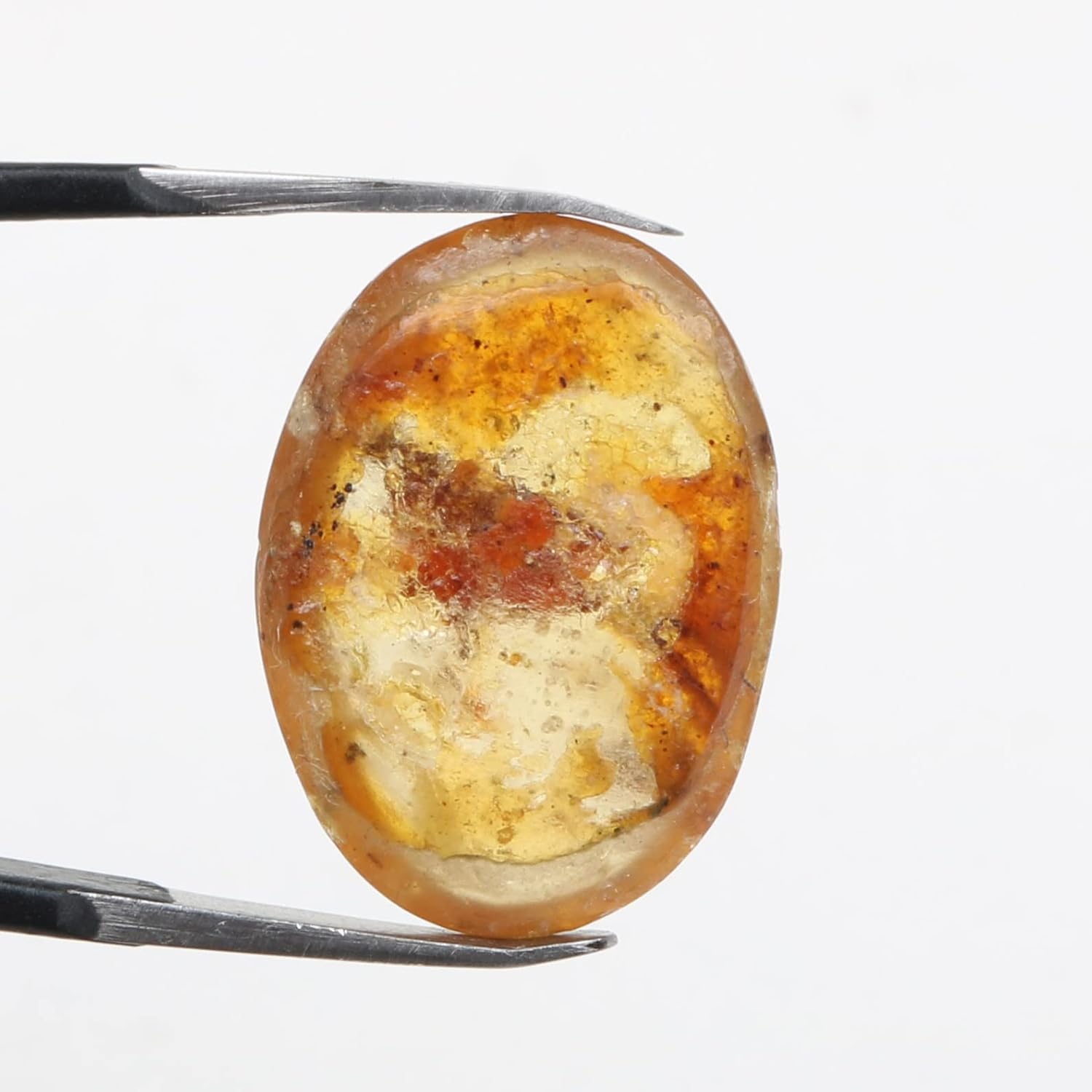REAL-GEMS Genuine Myanmar Amber Stone Oval Shape with Fossils Insects Inclusions
