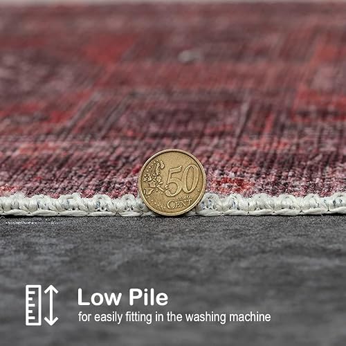 Adiva Rugs Machine Washable Area Rug With Non Slip Backing For Living Room, Bedroom, Bathroom, Kitchen, Printed Persian Vintage Home Decor, Floor Decoration Carpet Mat (Red/Brown, 5' X 7') #TOP5