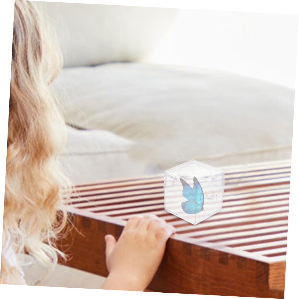 Insektenbox Transparent - Schaukasten Für Sammlung Beobachtung 1 Stück