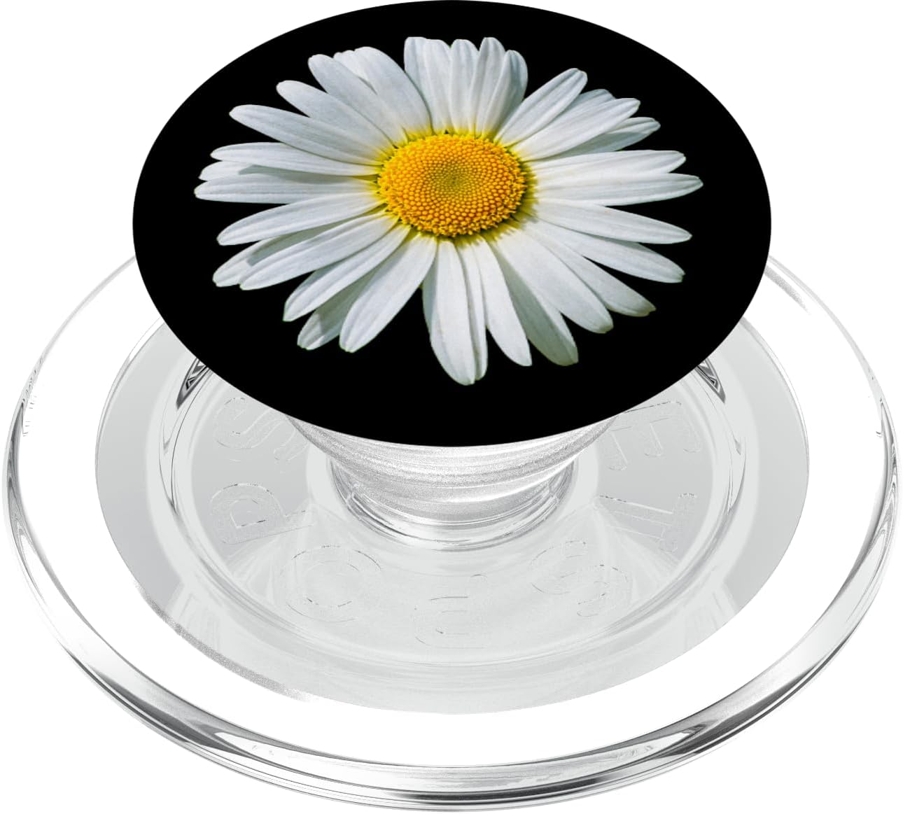 White Gerbera Daisy Flower Black Background PopSockets PopGrip for MagSafe