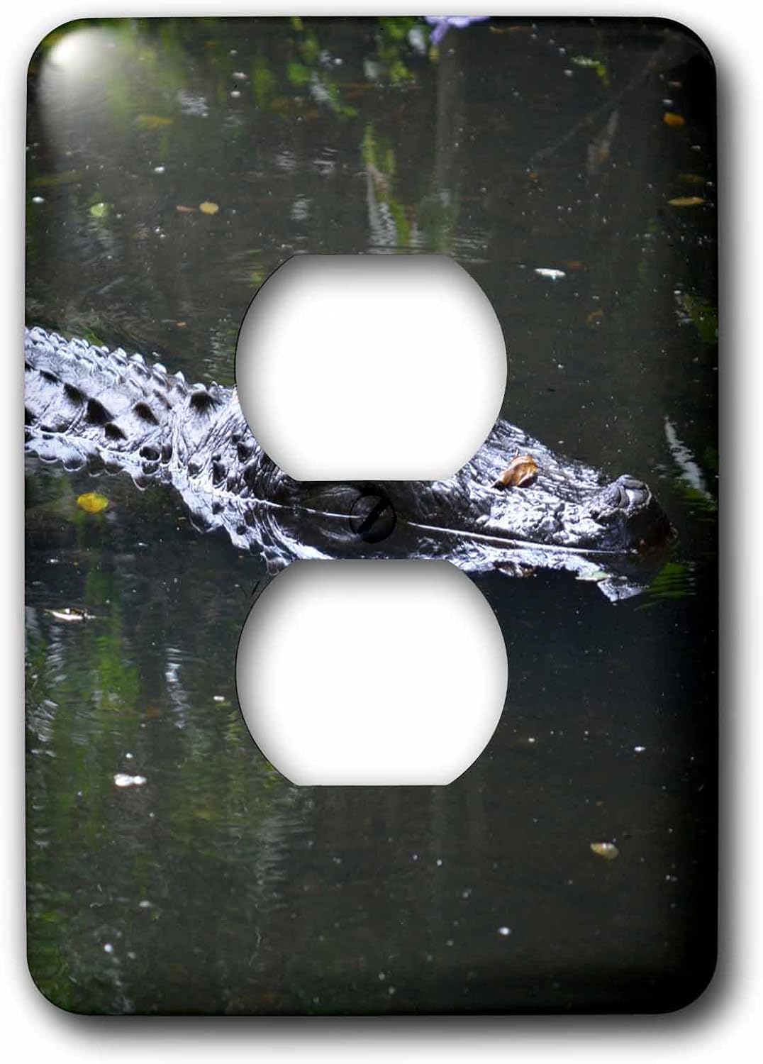3dRose lsp_178453_1 Florida Alligator Head in Water Light Switch Cover image 4