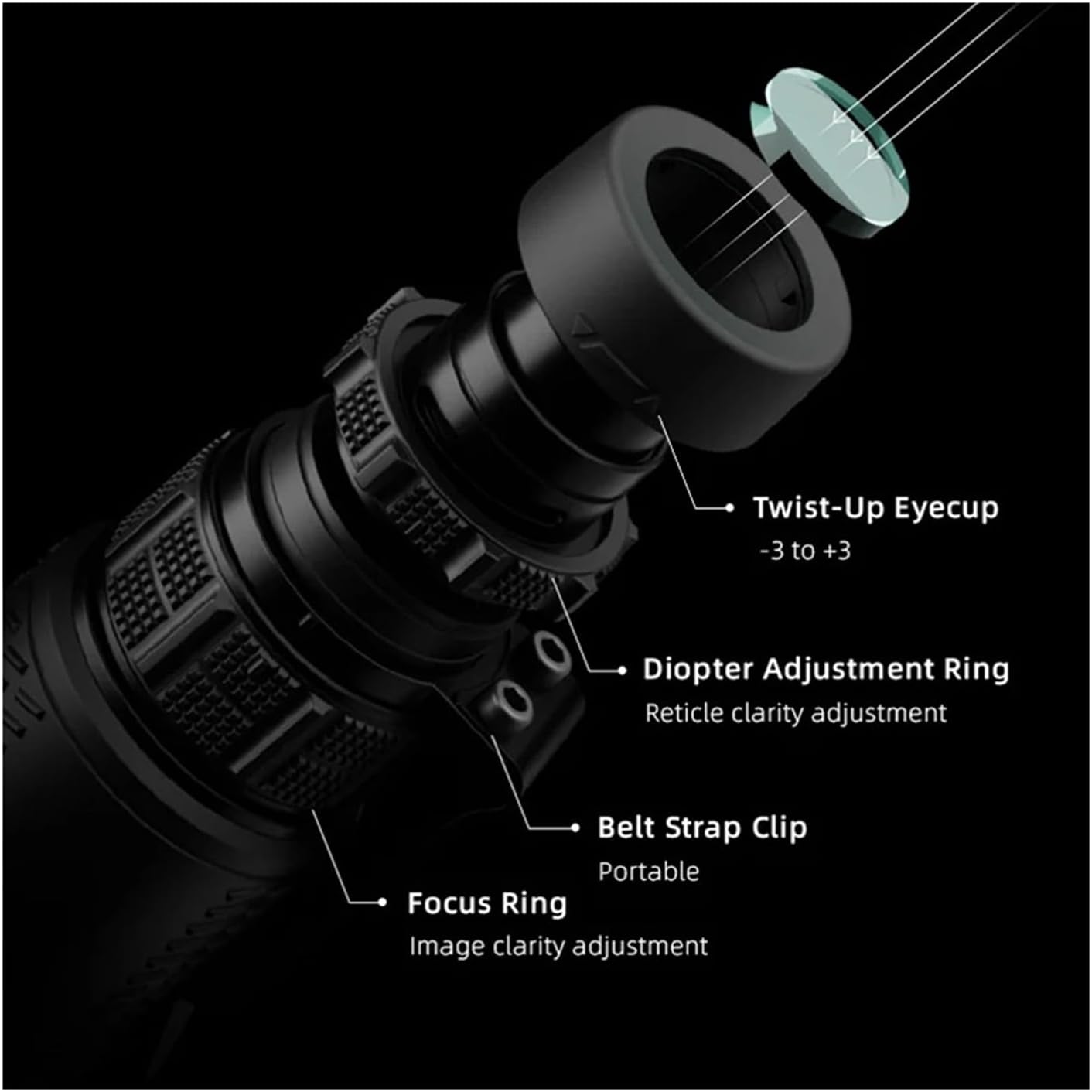 errer 樹脂標本 7種 植物標本 木箱入り 古道具 アンティーク errer