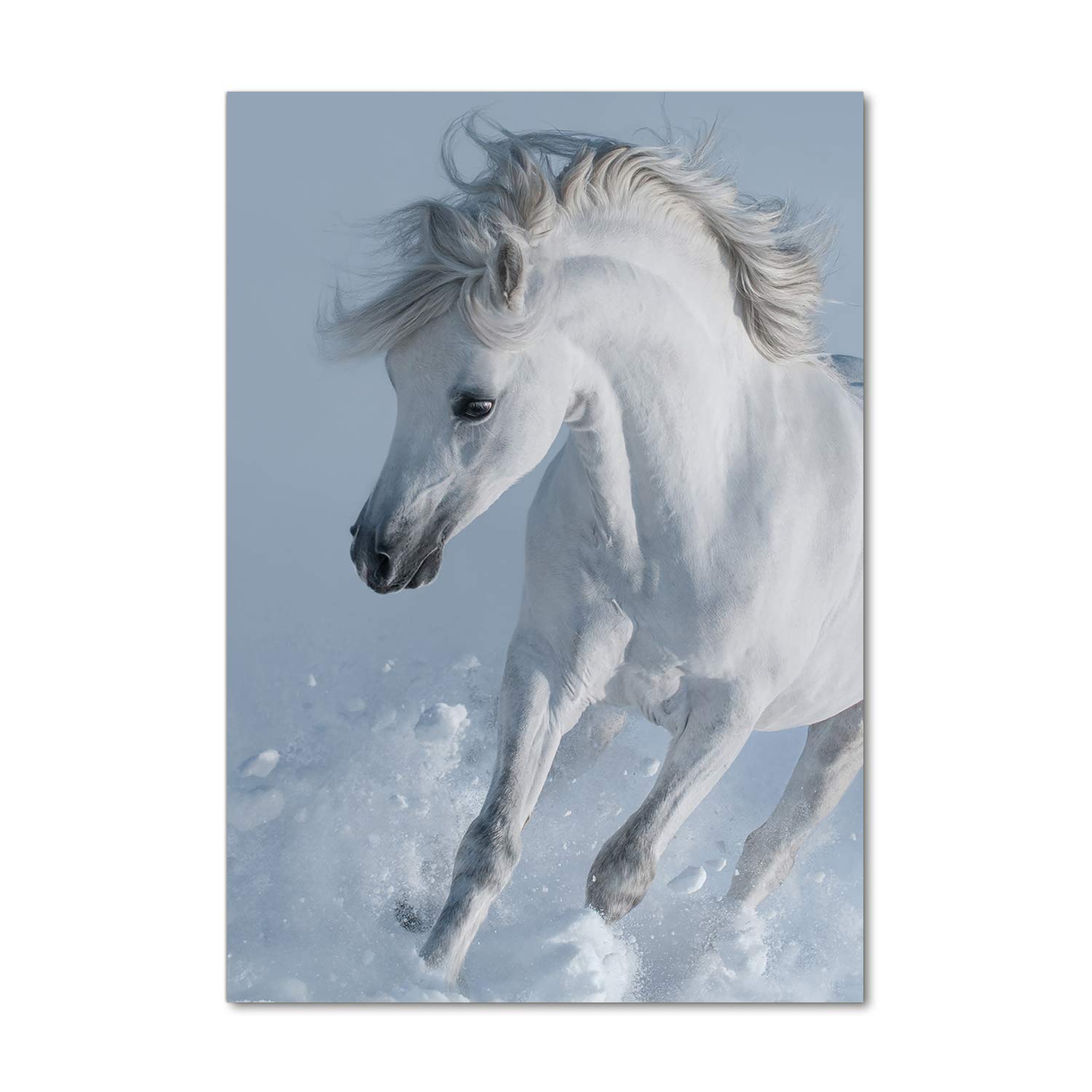 Tableau verre acrylique 70x100 cm cheval blanc au galop Tulup